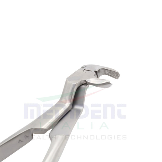 LOWER MOLARS AND LOWER THIRD MOLARS LEFT FIG 22L cod 1000-18