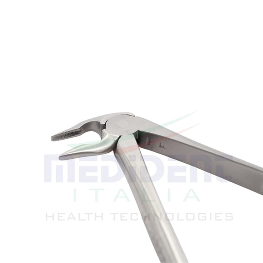 LOWER ROOTS FIG 185 cod 1000-48