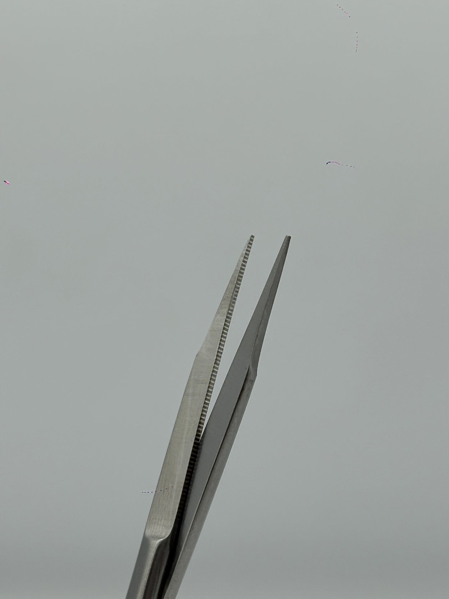 goldman fox scissor straight cod 1002-6D