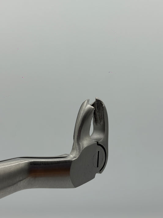 LOWER MOLARS AND LOWER THIRD MOLARS RIGHT FIG 22R cod 1000-19