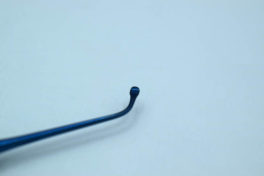 Fig Memmingen Cod 1032-5.