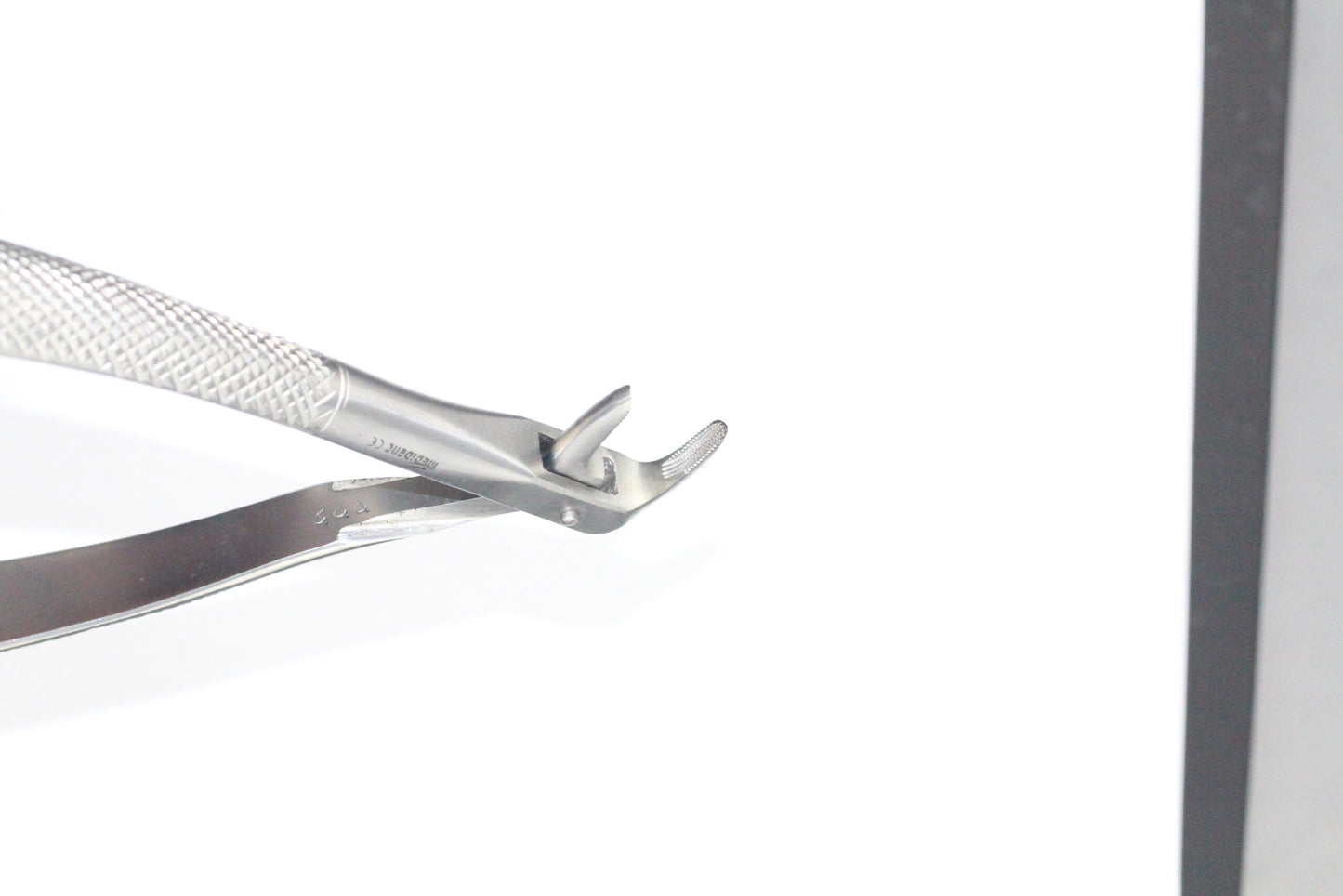 LOWER CANIES AND ROOTS FIG 74 cod 1000-29