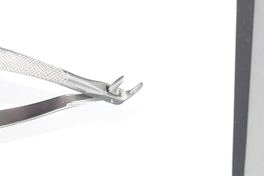 LOWER CANIES AND ROOTS FIG 74 cod 1000-29