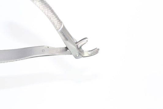 LOWER MOLARS FIG 73 cod 1000-28