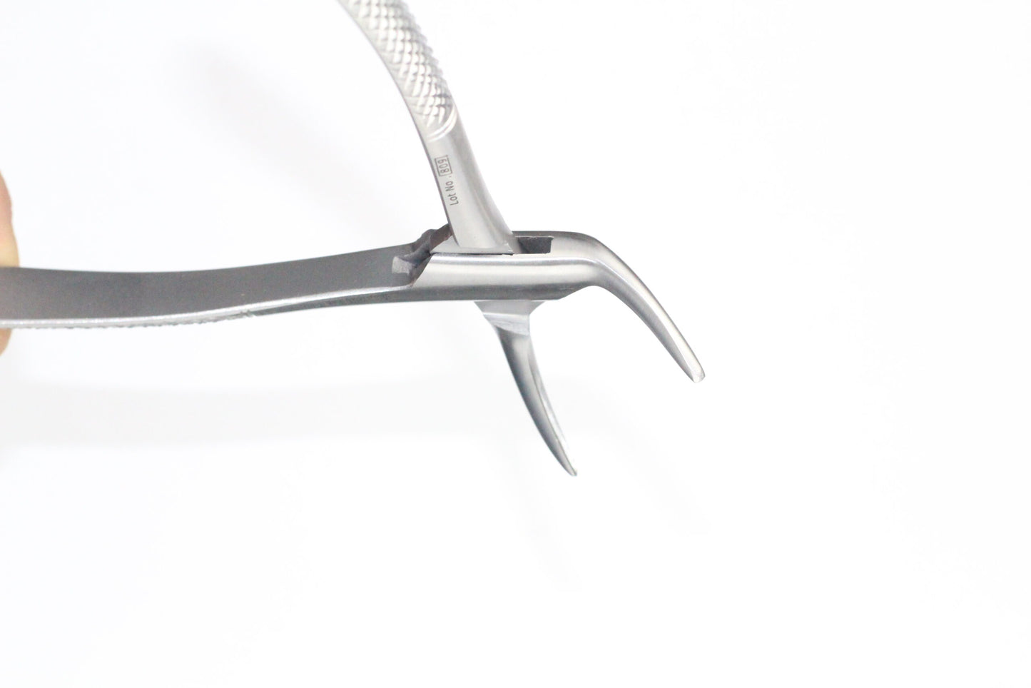 LOWER ROOTS FIG 120/01cod 1000-33