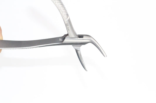 LOWER ROOTS FIG 120/01cod 1000-33