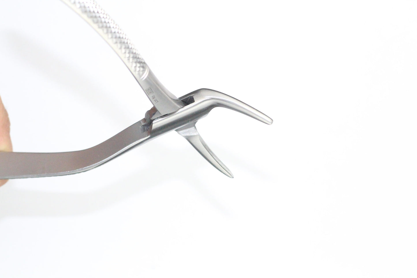 UPPER ROOTS FIG 120/02 cod 1000-34