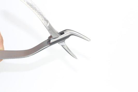 UPPER ROOTS FIG 120/02 cod 1000-34