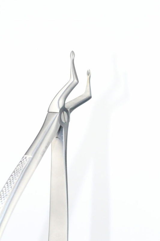 UPPER ROOTS FRAGMENTS FIG 189 cod 1000-38