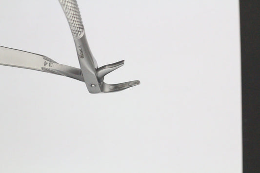 LOWER ROOTS FIG 185A cod 1000-36