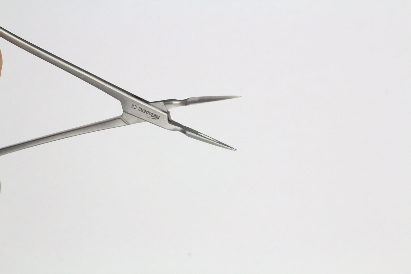 STIEGLITZ ROOT FRAGMENTS cod 1000-1