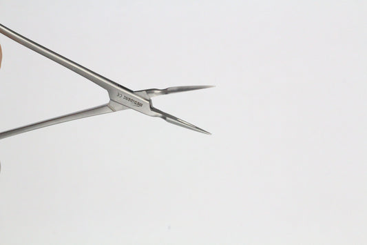 STIEGLITZ ROOT FRAGMENTS cod 1000-1