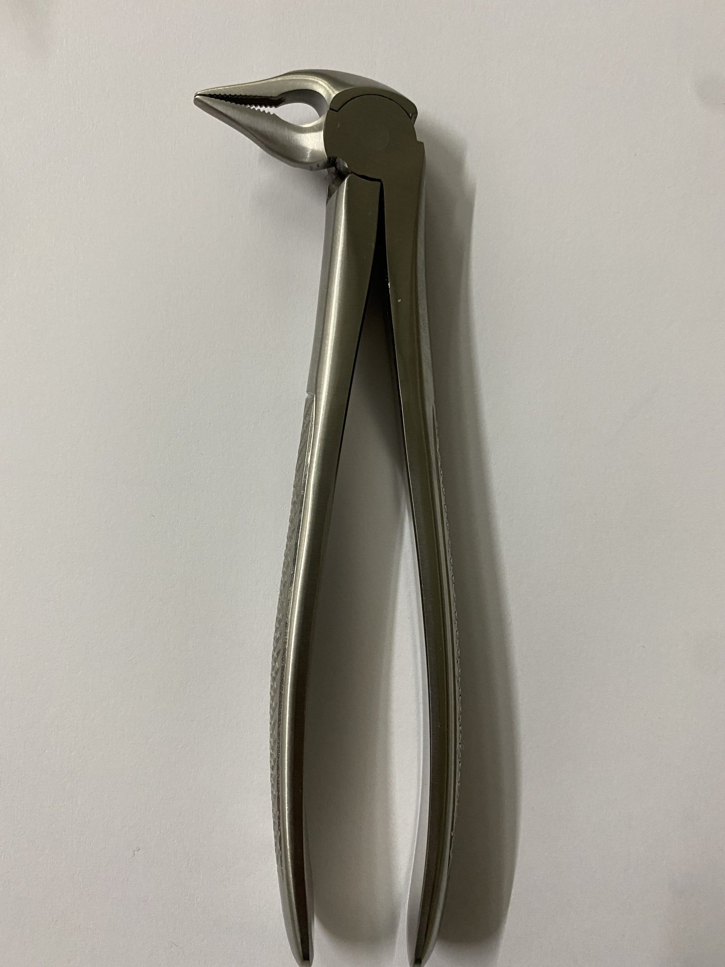 LOWER ROOTS FIG 185 cod 1000-48