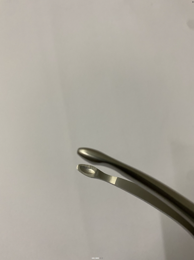 LOWER ROOTS FRAGMENTS FIG.187 cod 1000-37