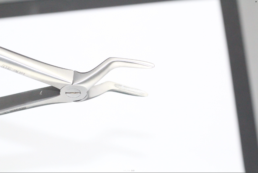 UPPER ROOTS FIG 51 cod 1000-24