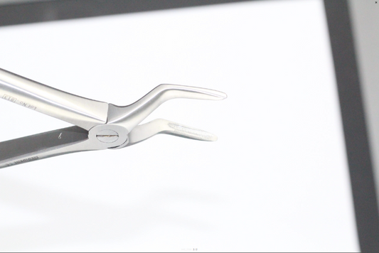 UPPER ROOTS FIG 51 cod 1000-24