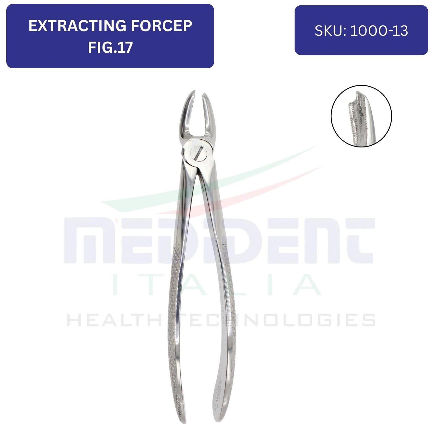 UPPER MOLARS RIGHT FIG 17 cod 1000-13
