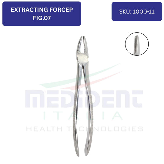 UPPER MOLARS RIGHT FIG.7 1000-11