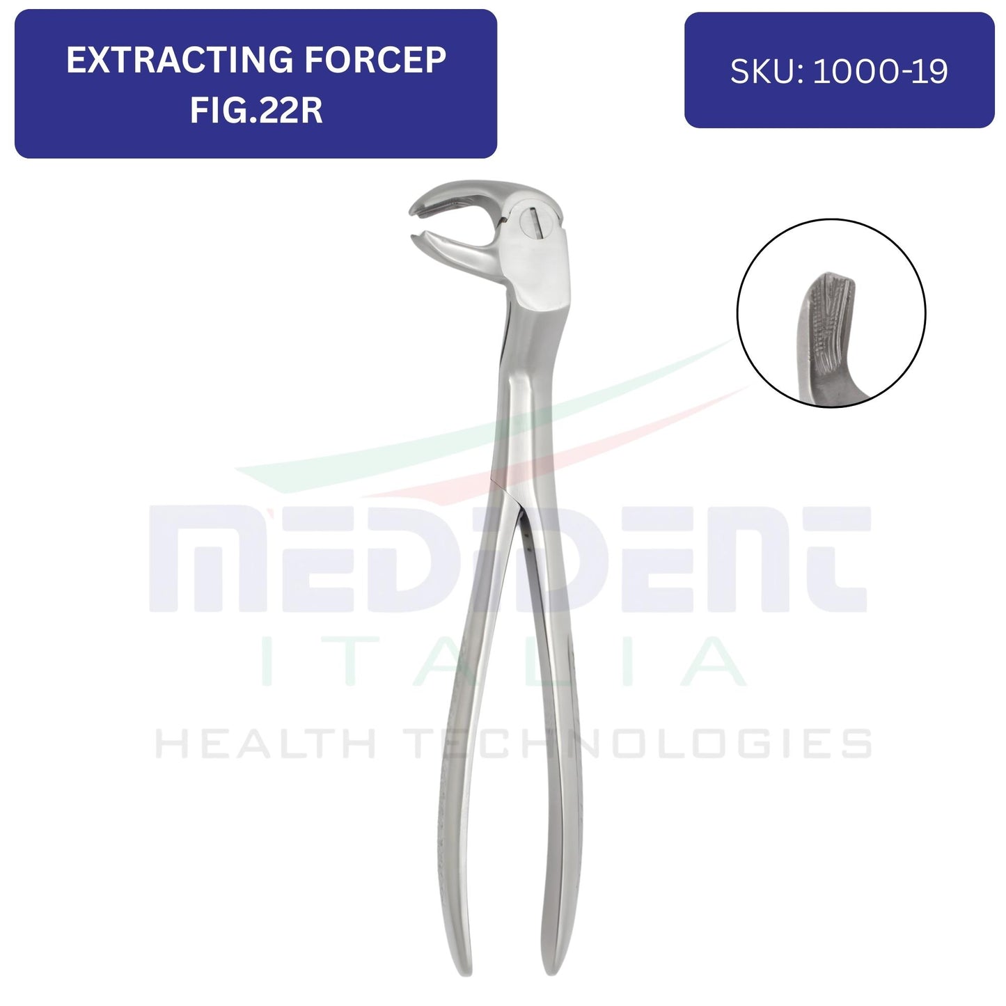 LOWER MOLARS AND LOWER THIRD MOLARS RIGHT FIG 22R cod 1000-19