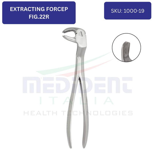 LOWER MOLARS AND LOWER THIRD MOLARS RIGHT FIG 22R cod 1000-19