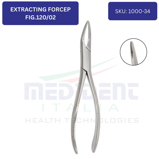 UPPER ROOTS FIG 120/02 cod 1000-34