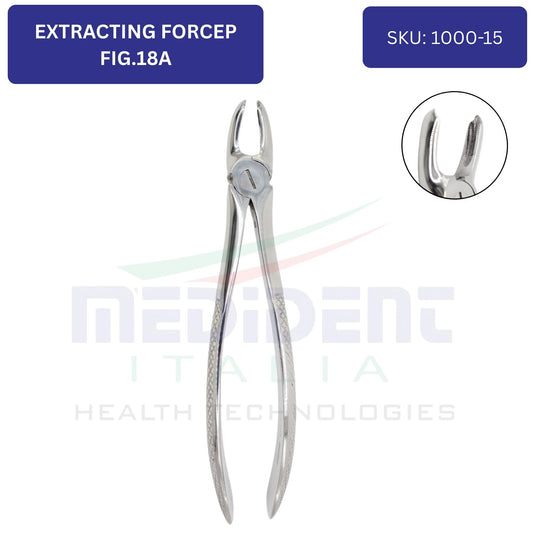 UPPER MOLARS FIG 18A cod 1000-15