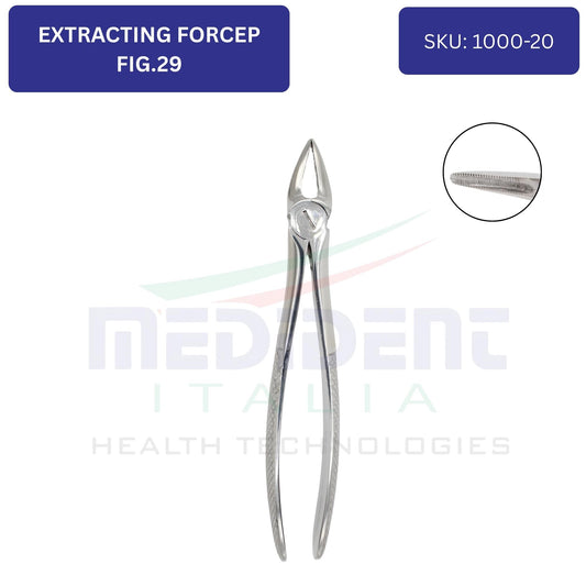 UPPER ROOTS FIG 29 cod 1000-20