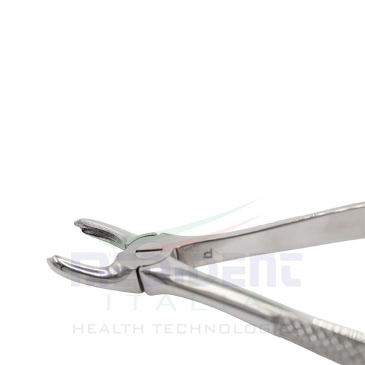 UPPER MOLARS FIG 18A cod 1000-15
