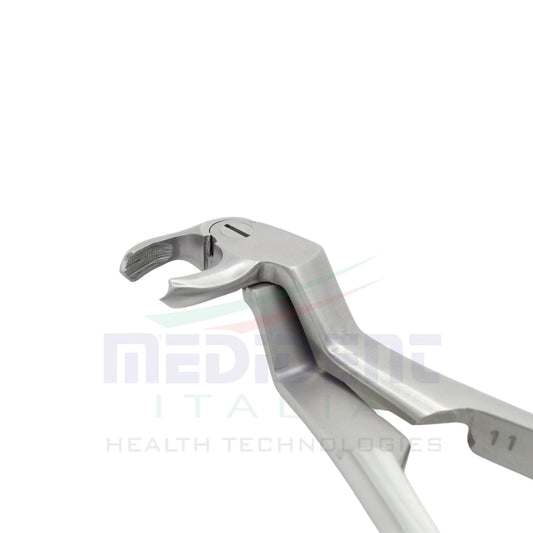 LOWER MOLARS AND LOWER THIRD MOLARS RIGHT FIG 22R cod 1000-19