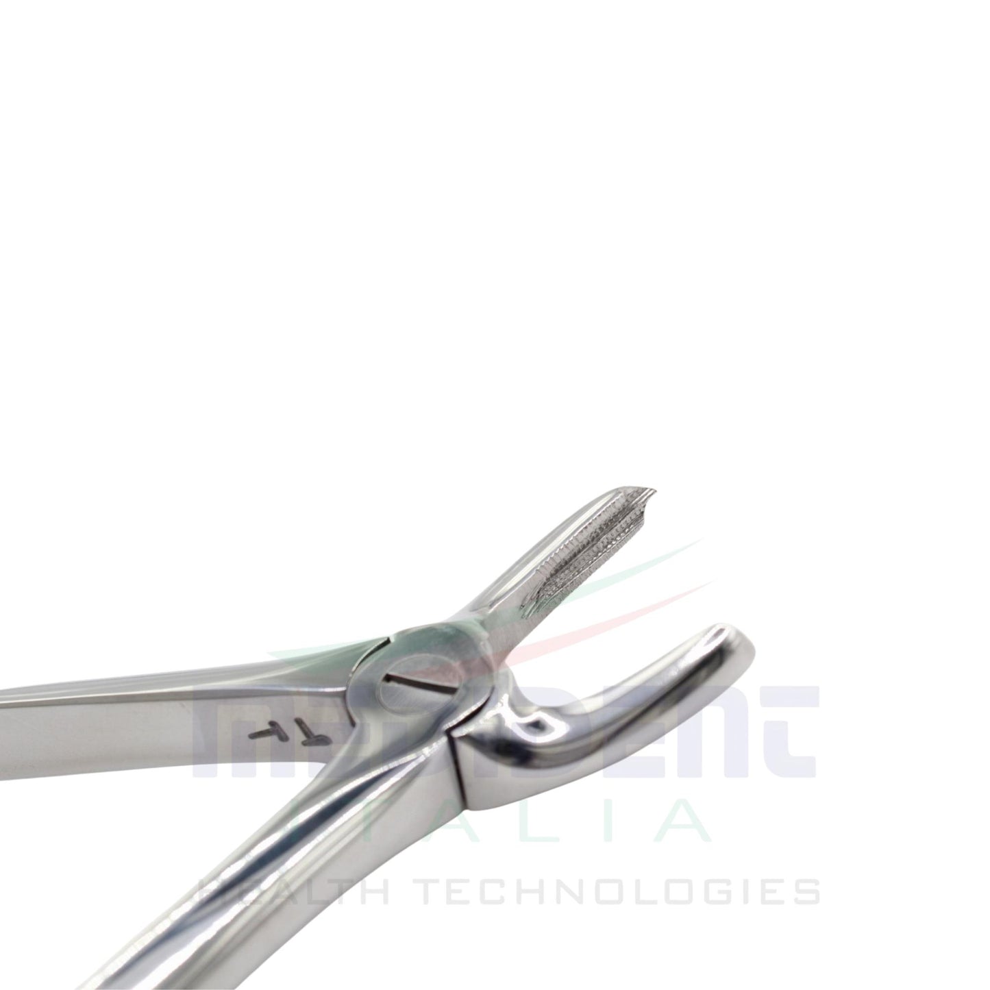 UPPER MOLARS RIGHT FIG 17 cod 1000-13