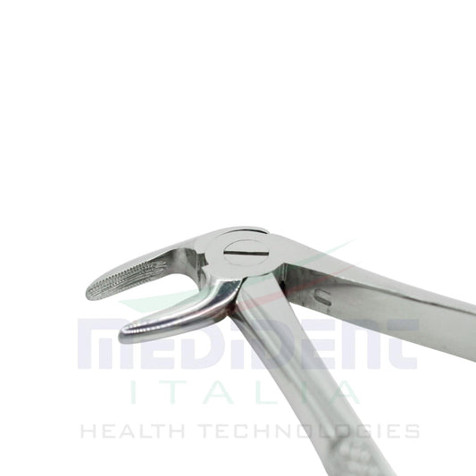 LOWER ROOTS FIG 33 cod 1000-21