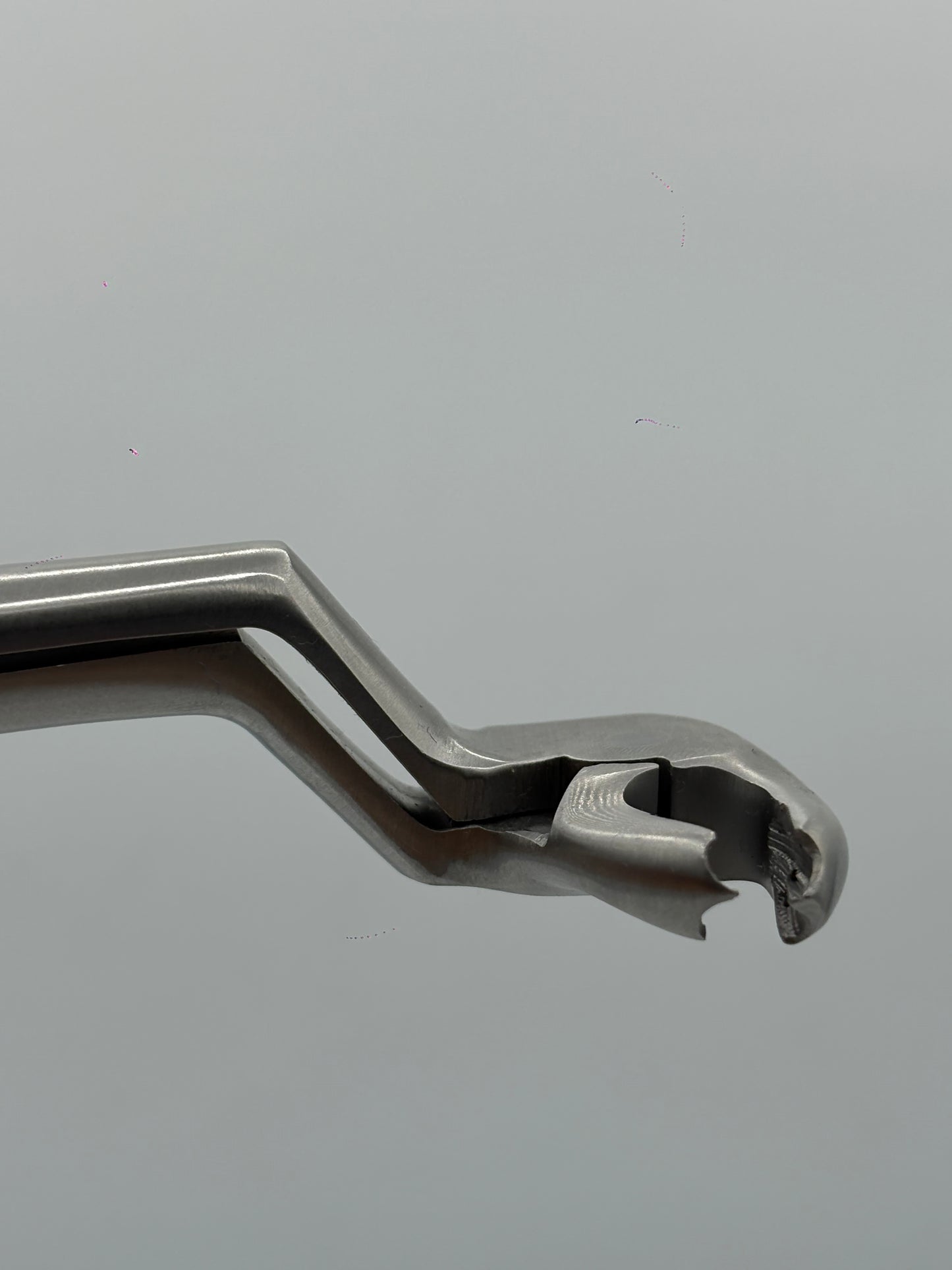 LOWER MOLARS AND LOWER THIRD MOLARS RIGHT FIG 22R cod 1000-19