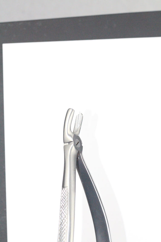 UPPER MOLARS LEFT FIG 18 cod 1000-14